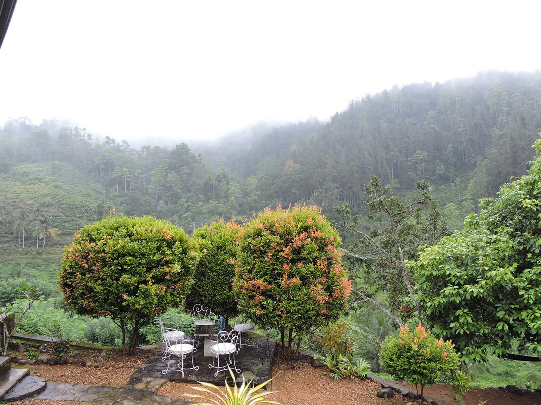 Jansens Bungalow主图