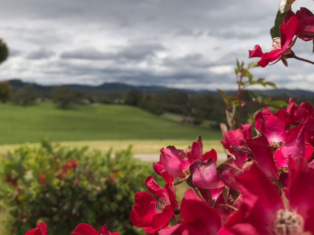 Foster Cemetery-福斯特必去景点