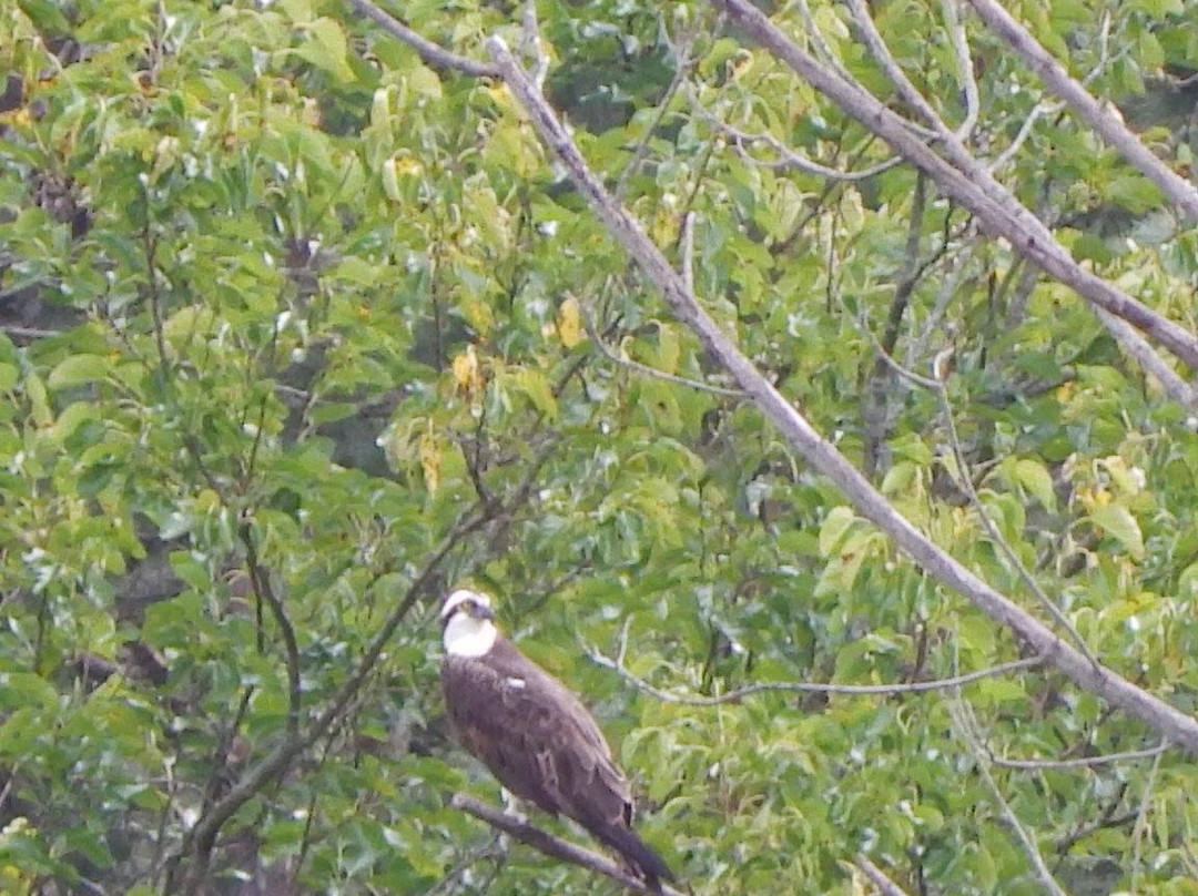 River Edge Bed and Breakfast & Gathering Place主图