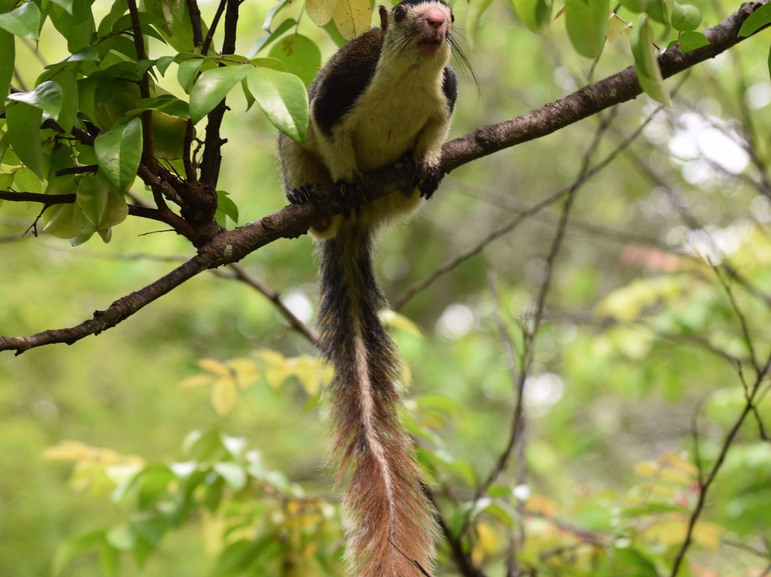 哈伯勒内另一角落酒店主图
