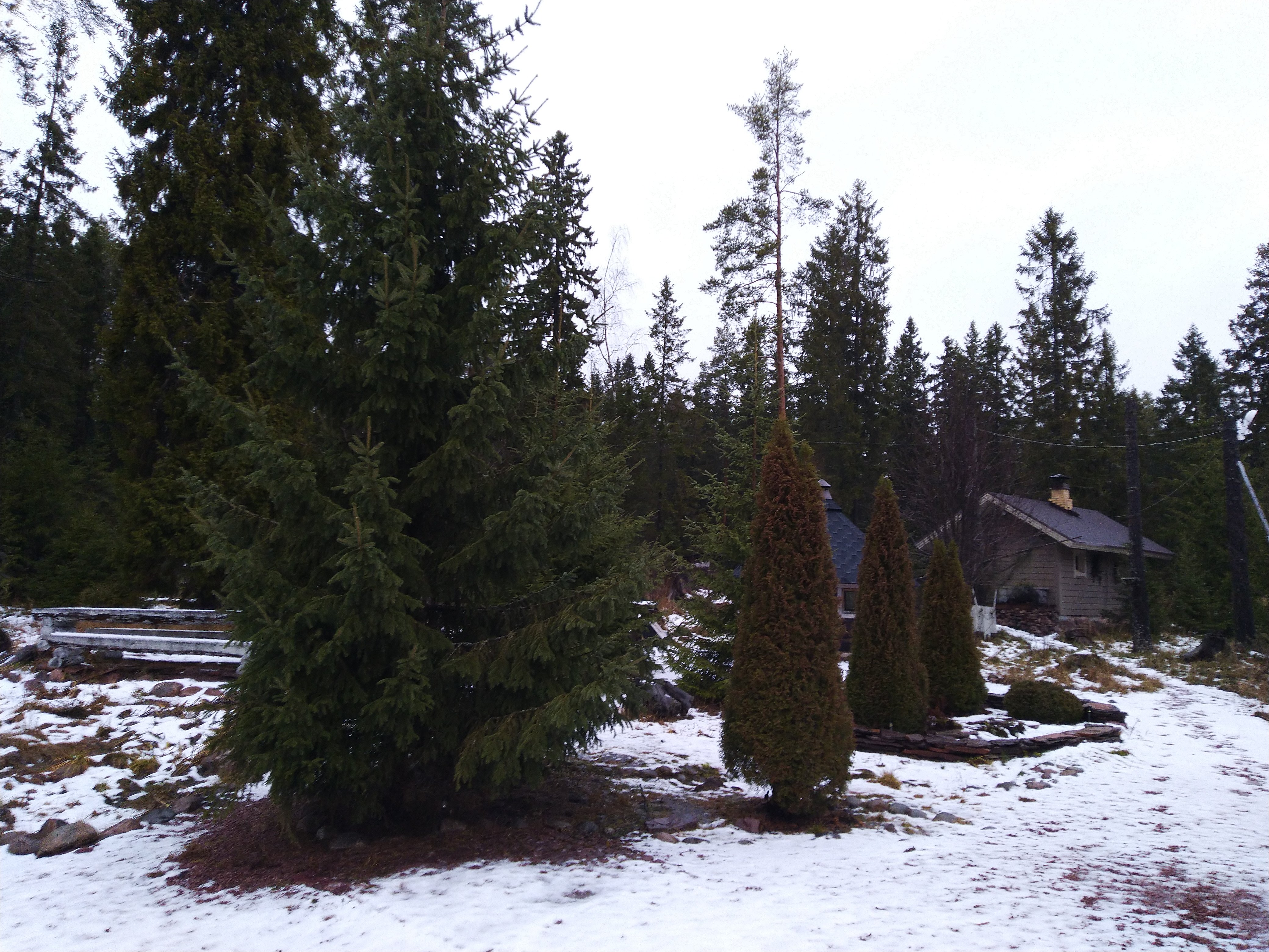 Vepsskiy Khutor-官方