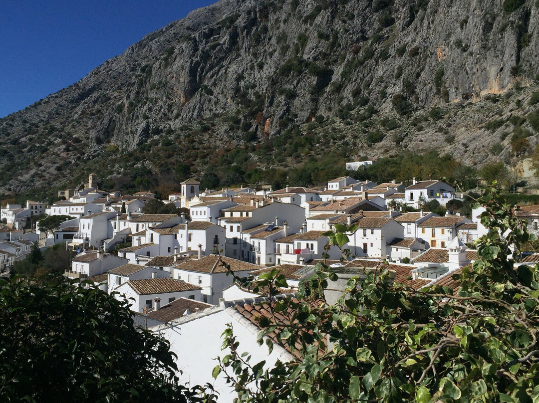 Plaza de Toros景点图片