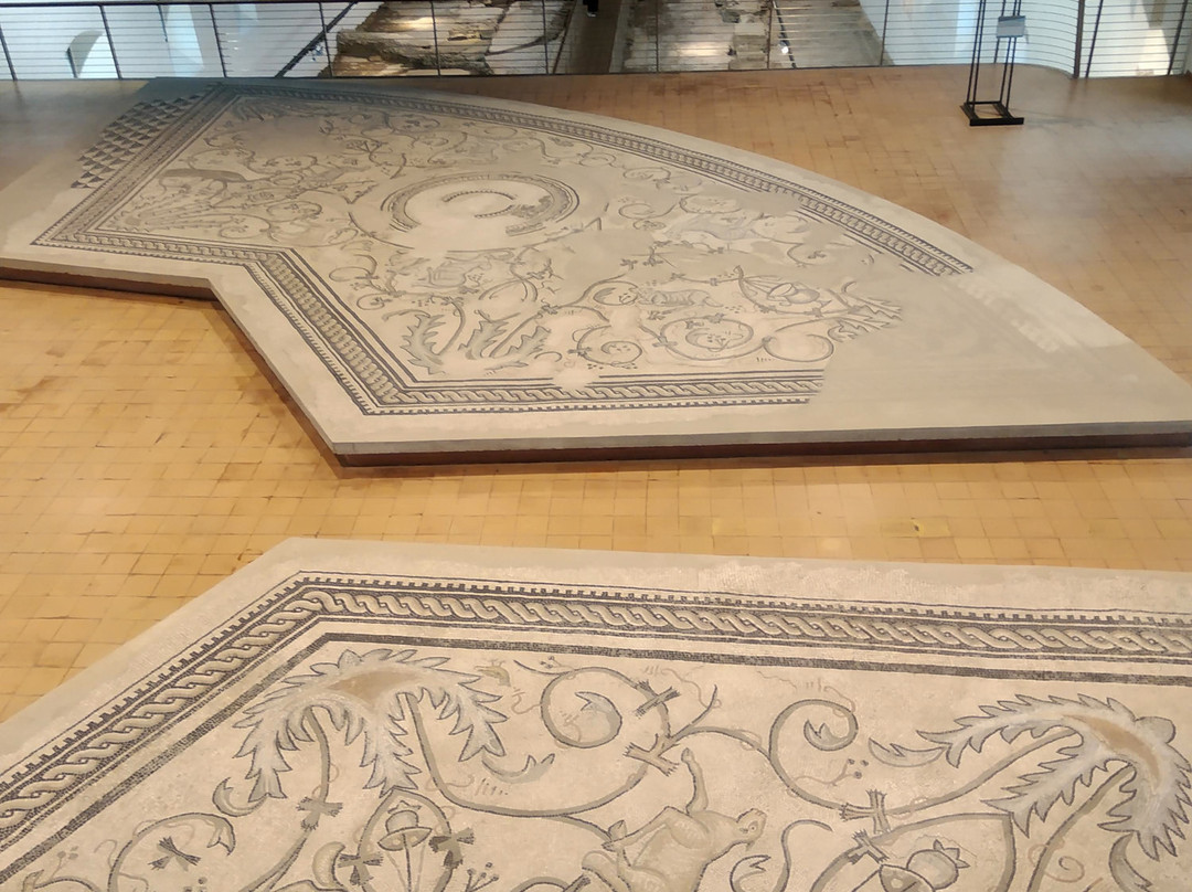 Museo Nazionale Paleocristiano景点图片