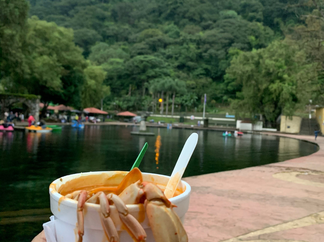 Laguna Ojo de Agua-欧瑞扎巴必去景点