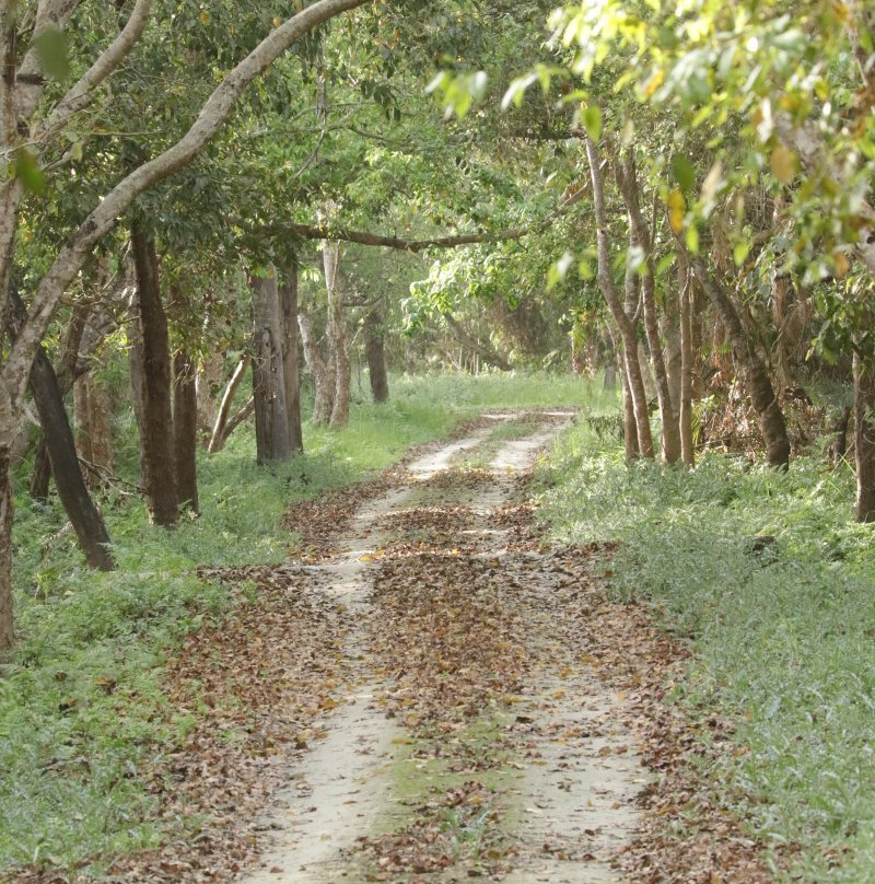 Dudhwa National Park景点图片