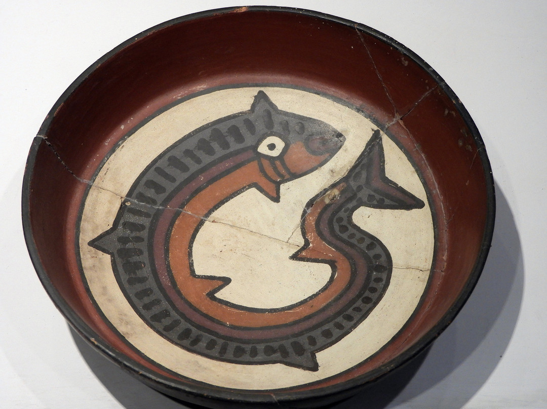 Didactic Museum Antonini (Museo Antonini)-纳斯卡必去景点