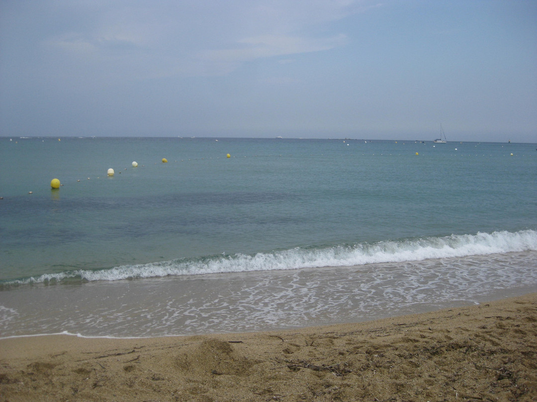 Plage De La Nartelle景点图片