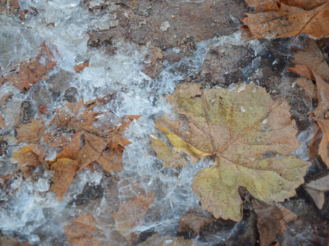 Domaine Wassler-Blienschwiller必去景点