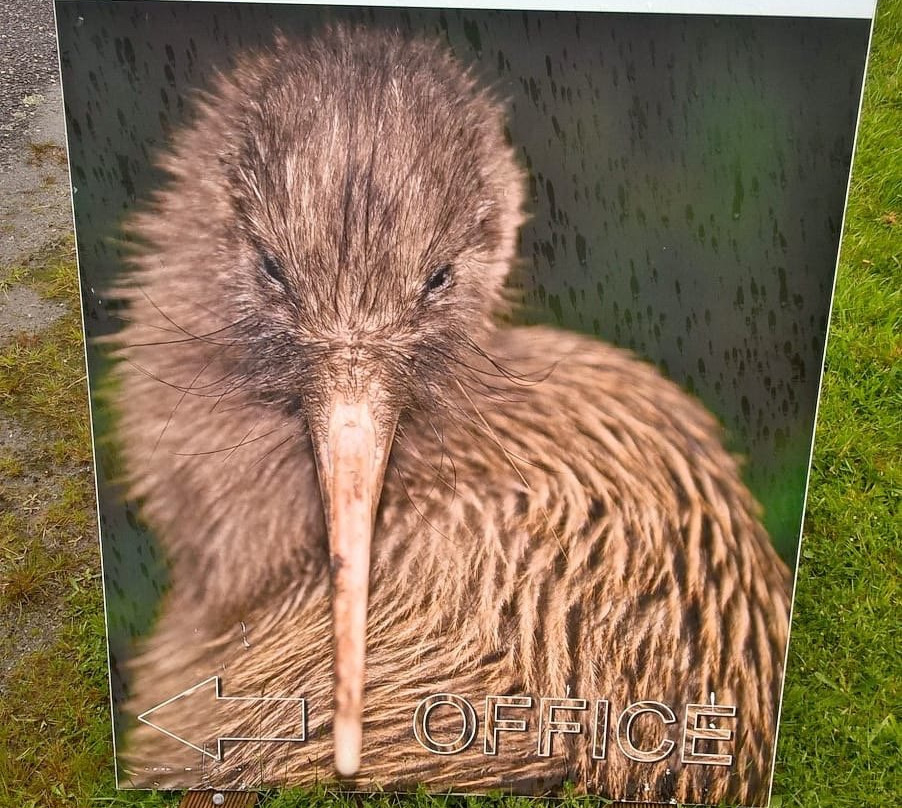 Okarito Kiwi Tours景点图片