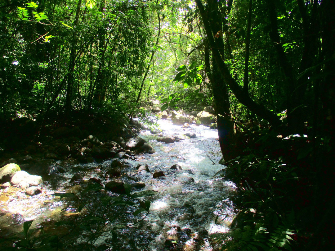 Tokpela-Piedras必去景点