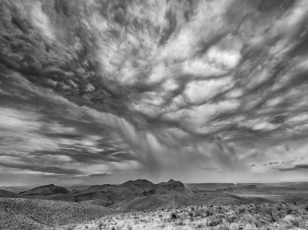 Big Bend Birding & Photo Tours-Terlingua必去景点