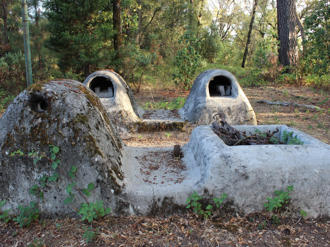 Oregon House旅游攻略图片