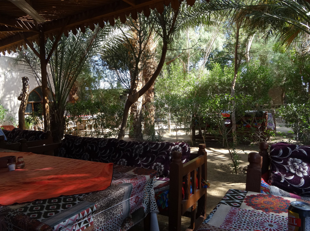 Nour El Gourna主图