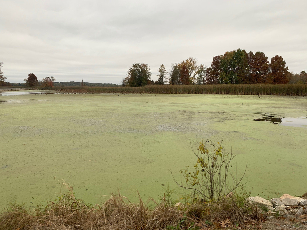 Mermet Lake State Fish and Wildlife Are景点图片