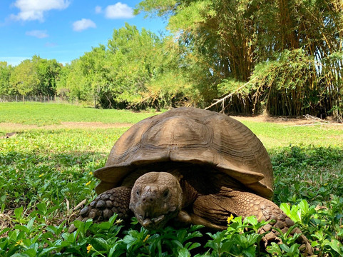 Leilani Farm Sanctuary-海库必去景点