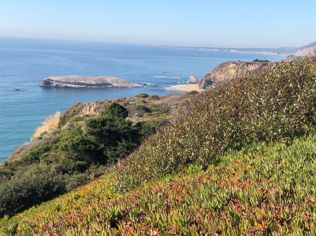 Swanton Berry Farm-佩斯卡德罗必去景点