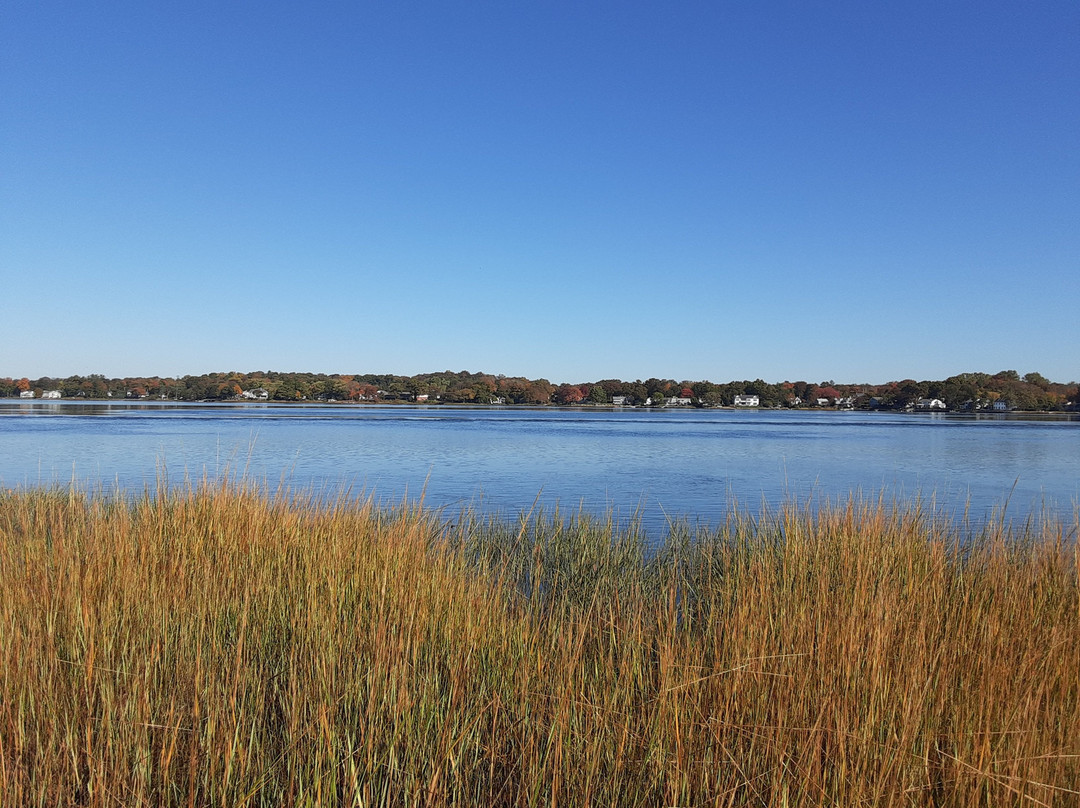 Cove Island Park-斯坦福必去景点