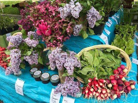 Hamilton Farmers Market Co-op景点图片
