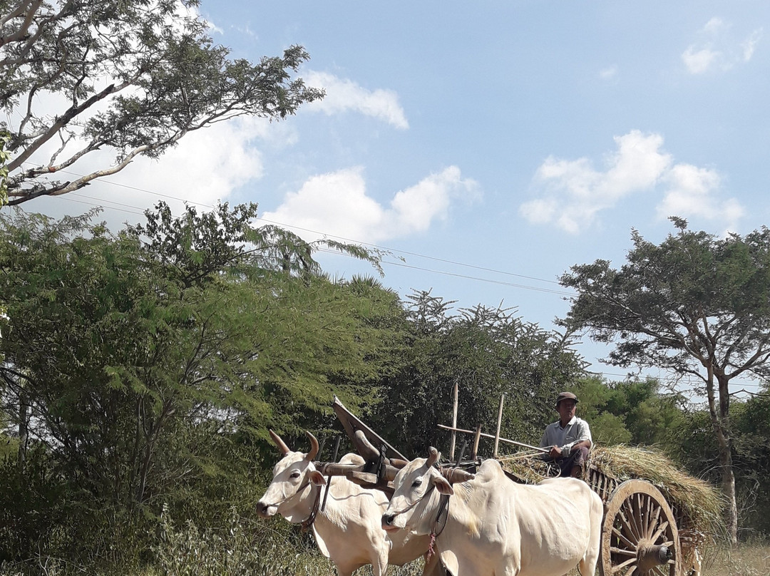 Golden Express Tours-仰光必去景点