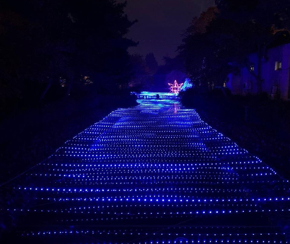 Seoul Land-果川市必去景点