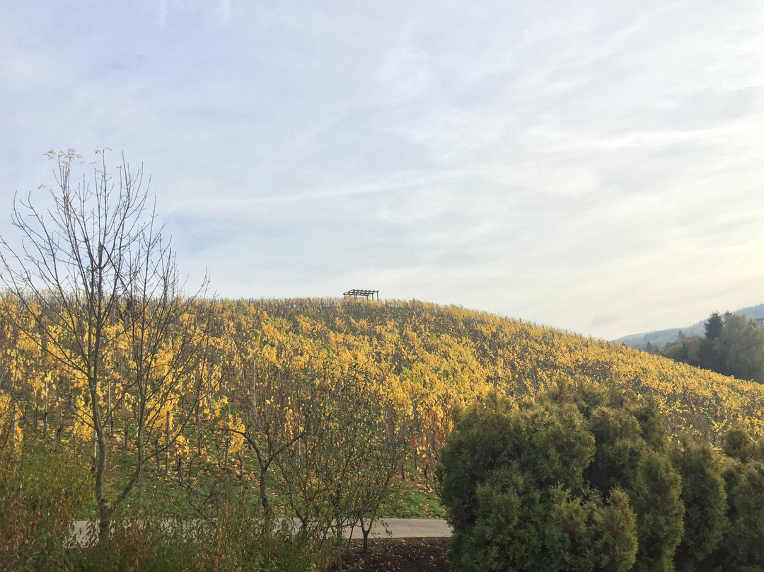 Hotel Weingut Weis主图