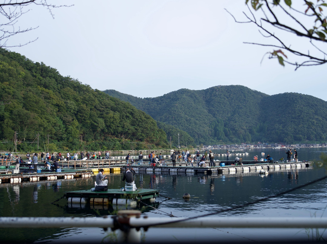 福井县旅游攻略图片