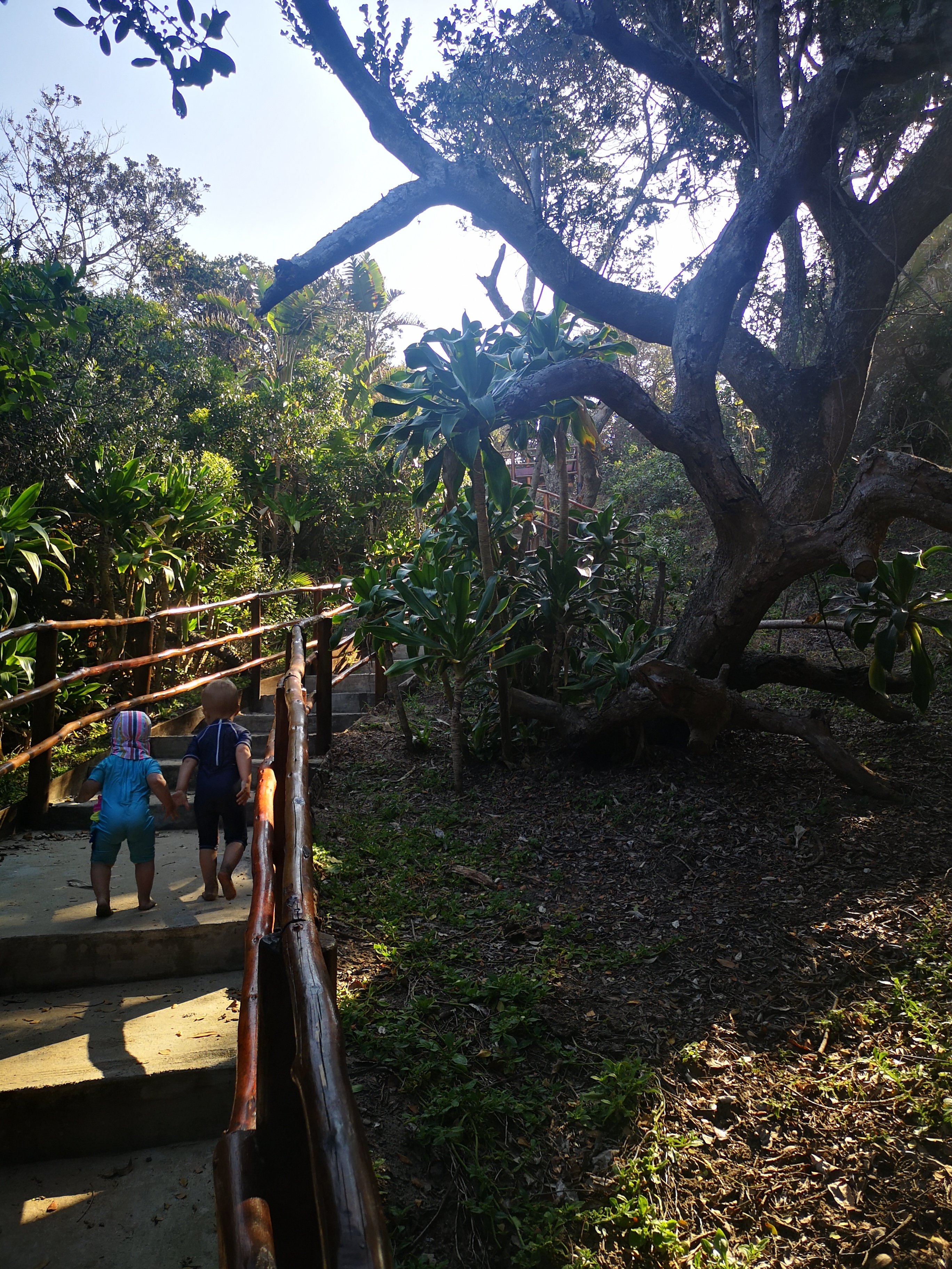 Trennerys Hotel-portrait