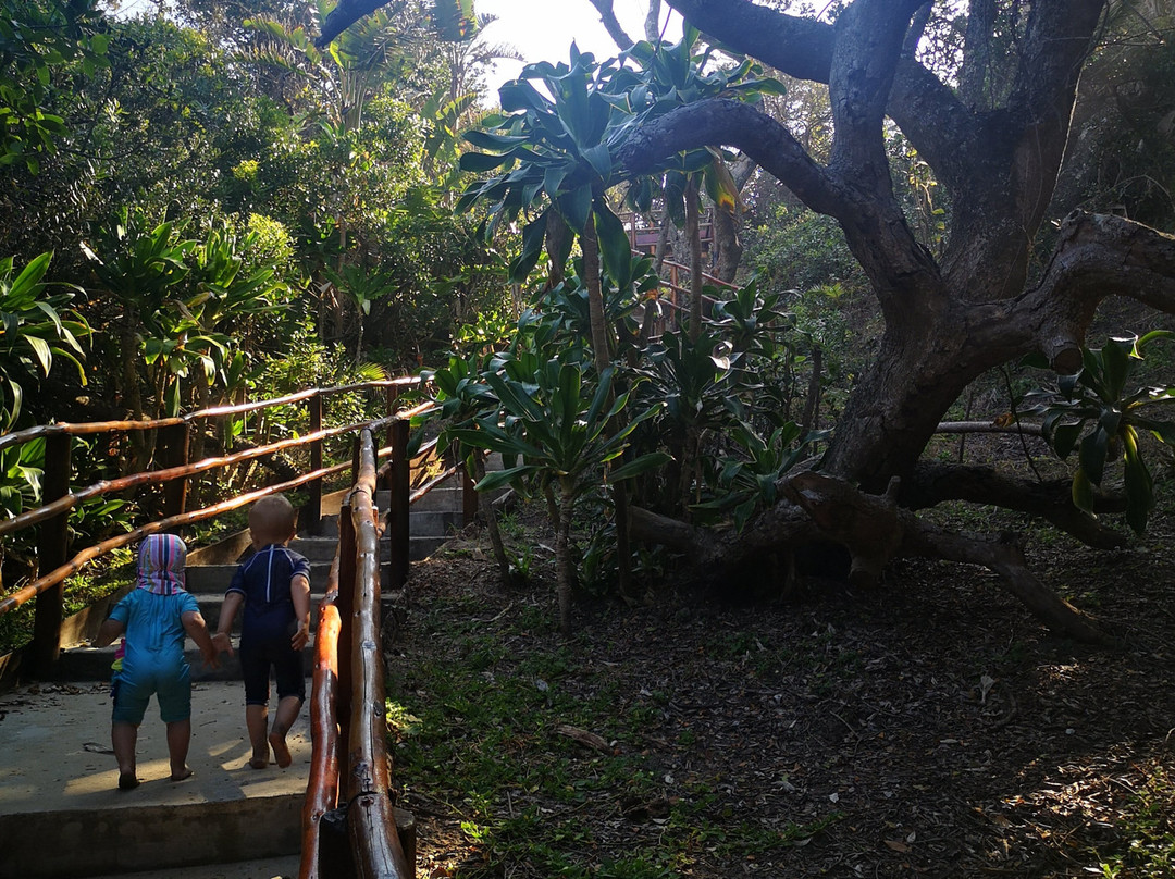 Trennerys Hotel主图