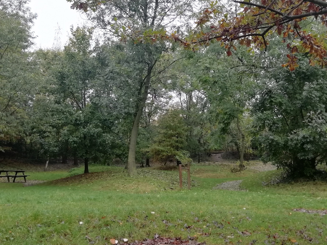 Bed & Breakfast Il Giardino delle Farfalle主图