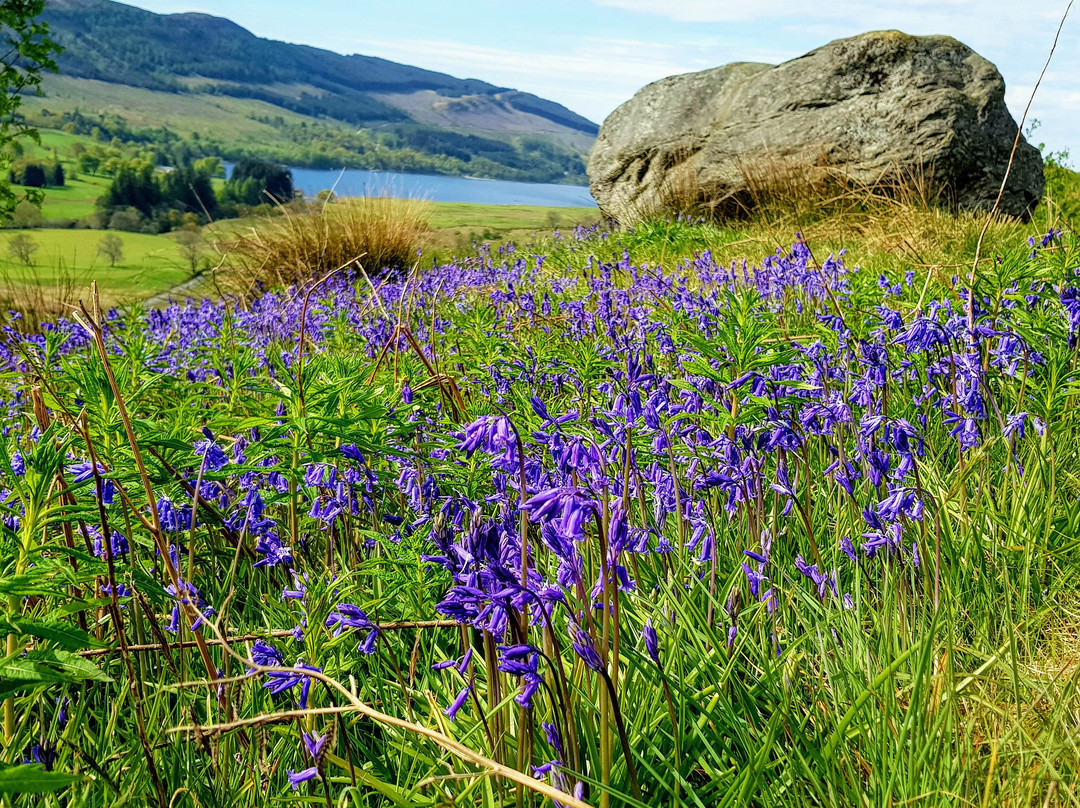 Westcot Bed & Breakfast主图