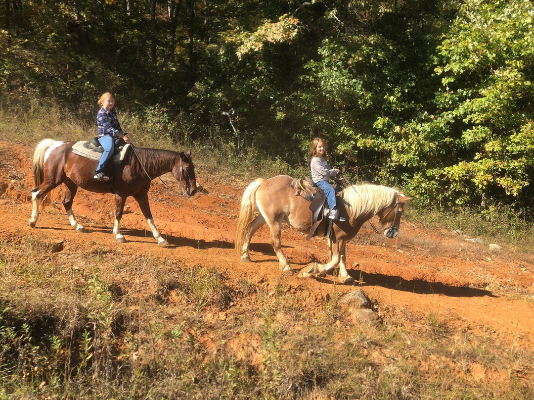 Jesse James Riding Stables-Cave City必去景点