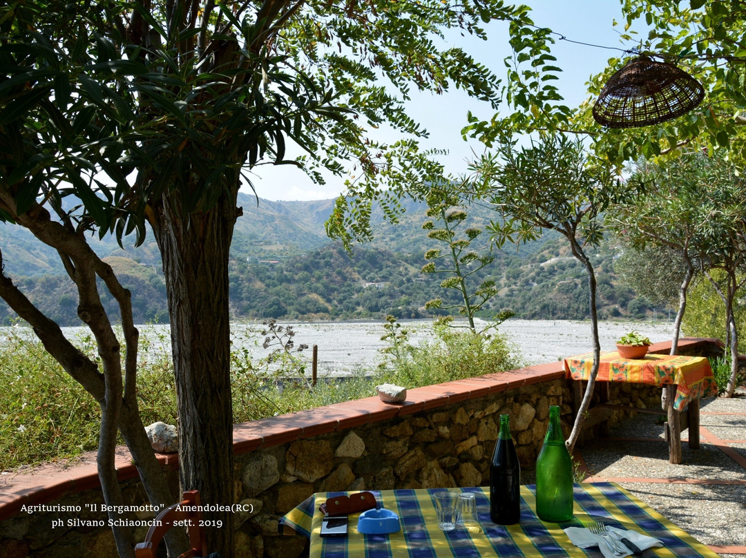 Agriturismo Il Bergamotto主图