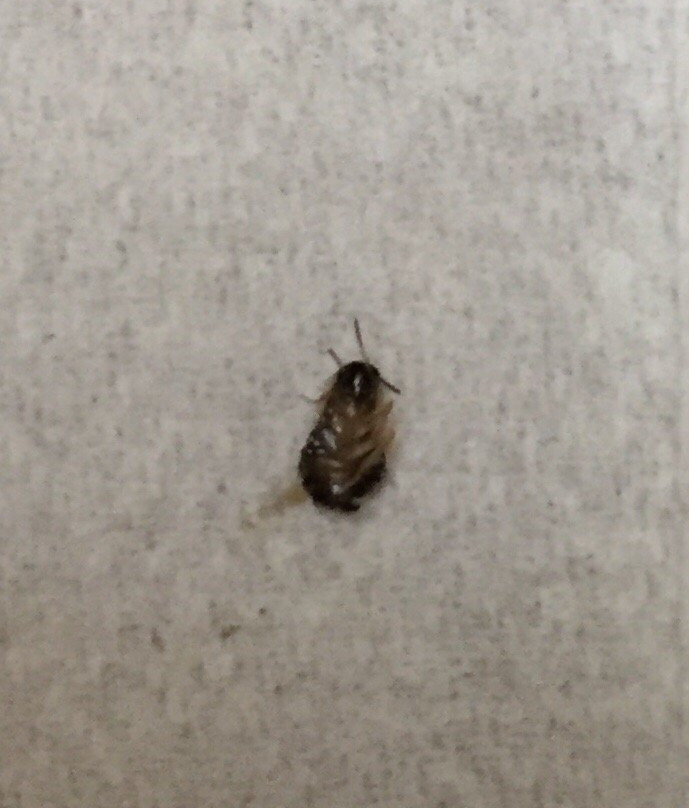 Port-O-Call Inn & Suites主图