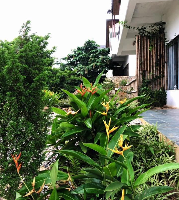 Bakhan Village Resort主图