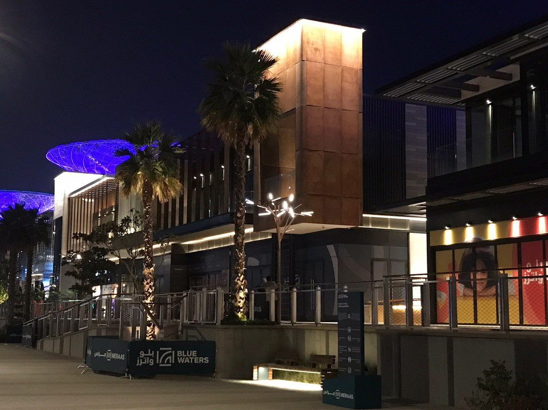 Ain Dubai-迪拜必去景点