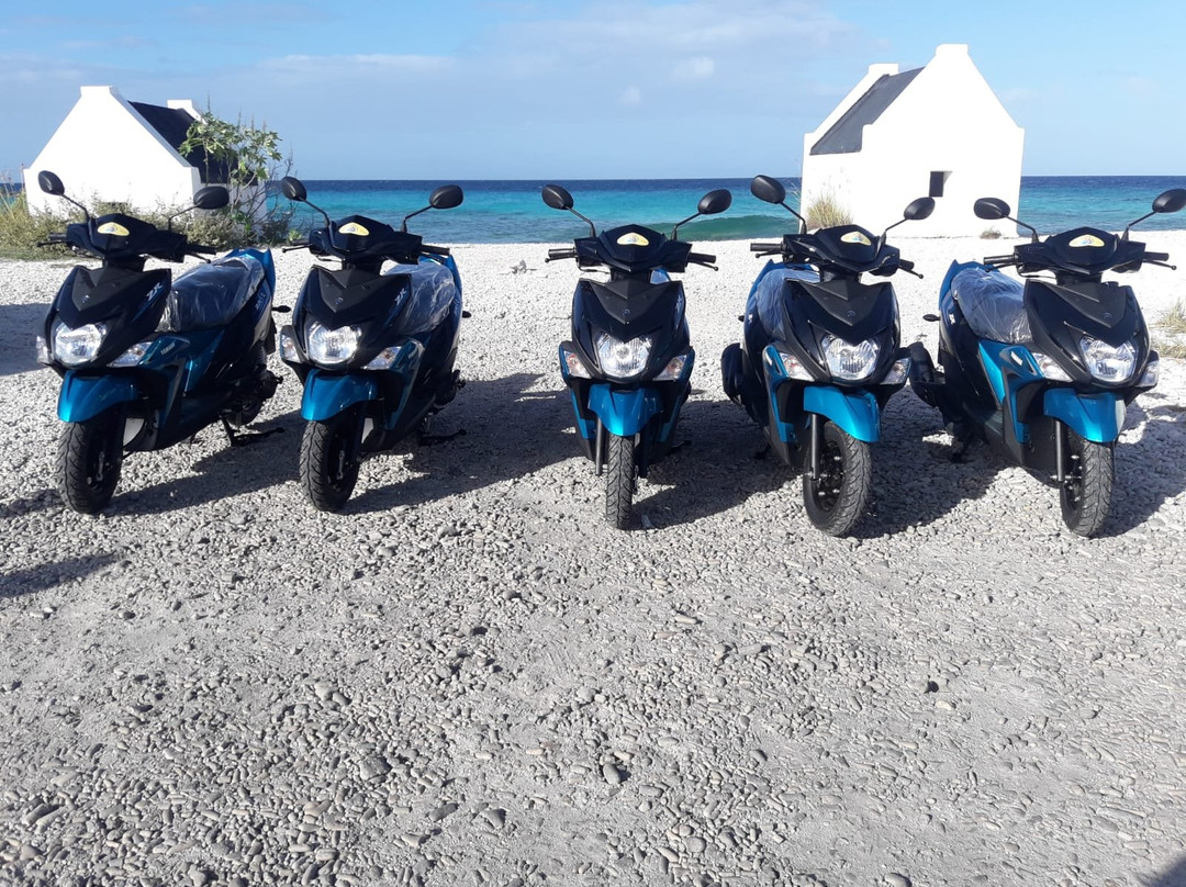 Paradise Tire Shop Tire Repair and Scooter Rental Bonaire-Kralendijk必去景点