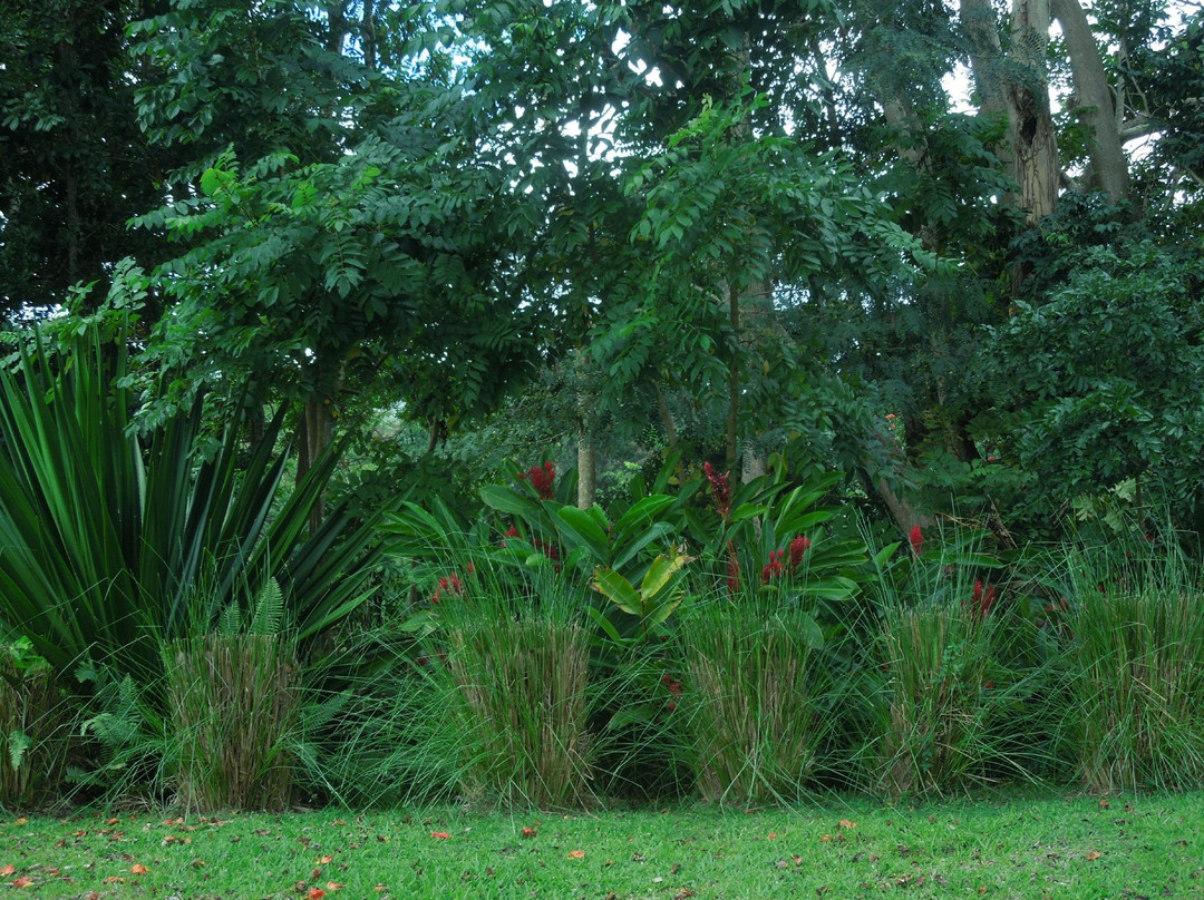 Jardin Botanico y Cultural William Miranda Marin景点图片