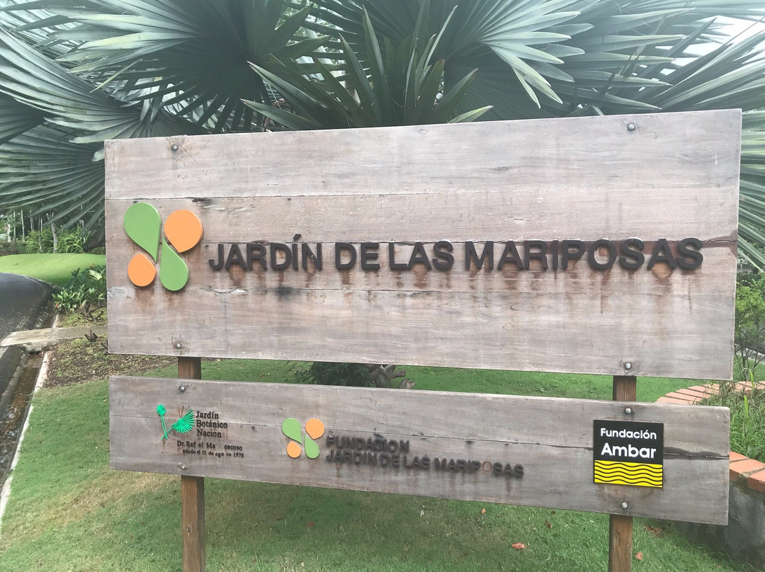 Jardin Botanico Nacional-Santo Domingo Province必去景点