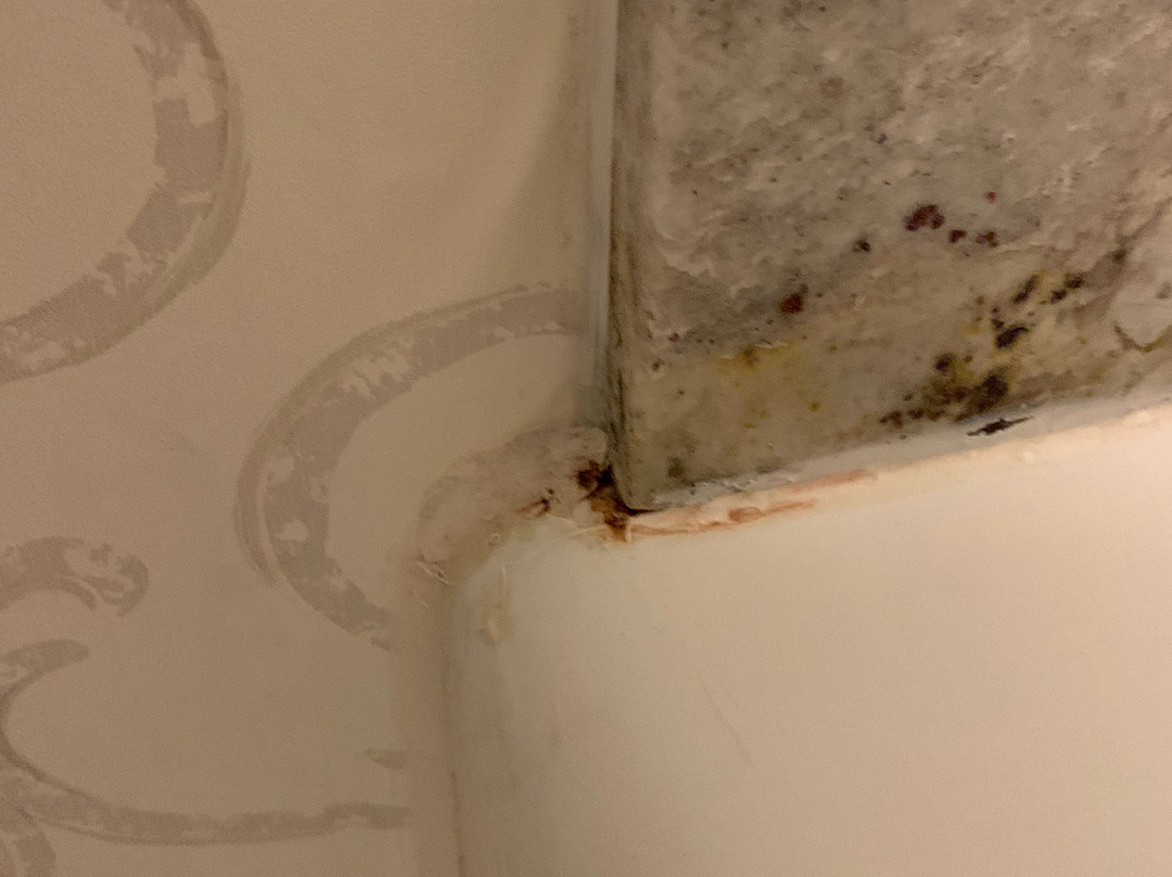 波士顿皮博迪假日套房酒店主图