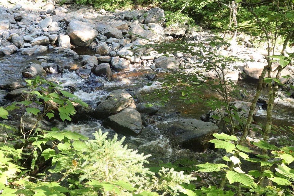 Corney Brook Trail景点图片