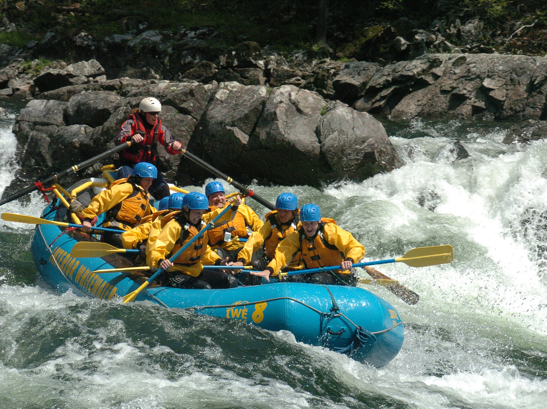 Interior Whitewater Expeditions - Day Tours景点图片
