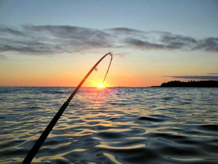 Salty Dog Fishing Charters景点图片