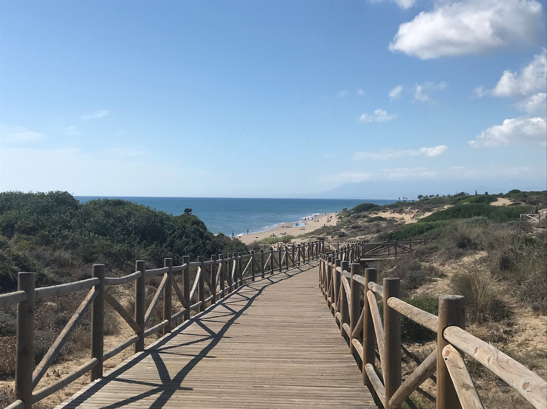 Playa Cabopino景点图片