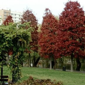 Iulius Park-克卢日-纳波卡必去景点