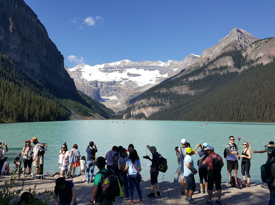 RTB Tours-卡尔加里必去景点