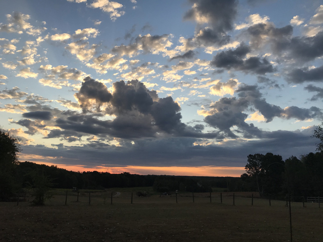 Breezy Oaks Farm House Bed & Breakfast主图