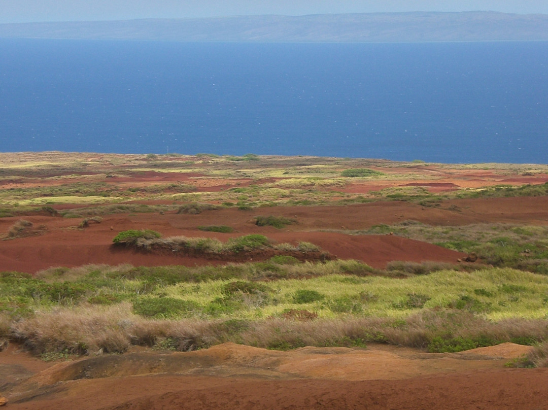 Expeditions Lahaina/Lanai Passenger Ferry-拉海纳必去景点