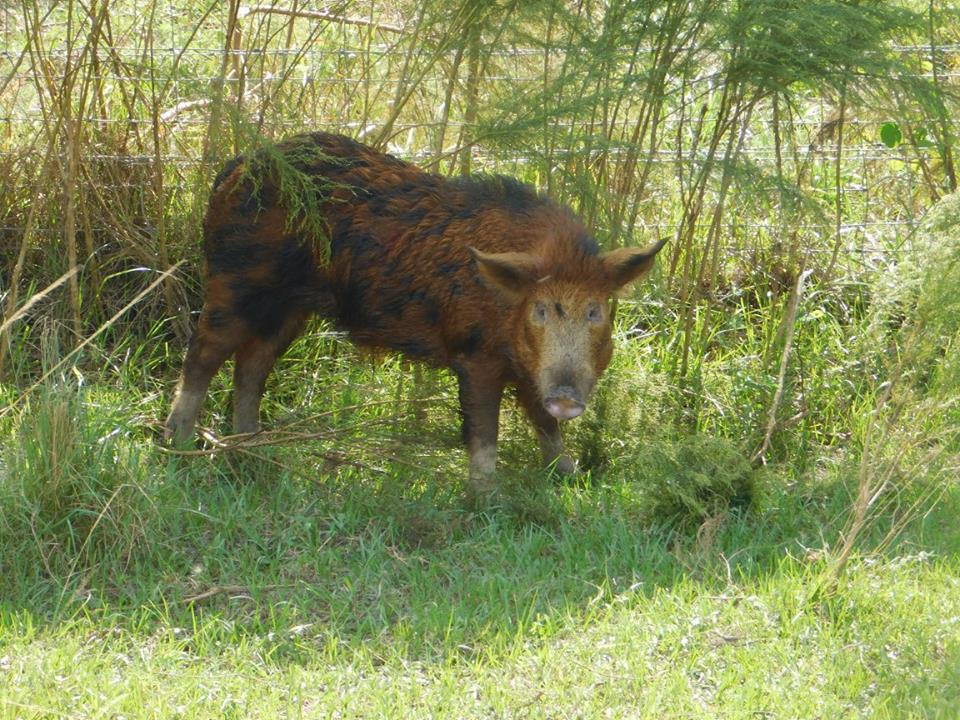 Outwest Farms-奥基乔比必去景点