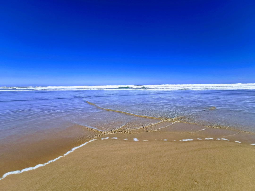 Escape To The Beach主图