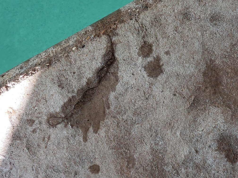 Baymont Inn & Suites by Wyndham Sturgis主图